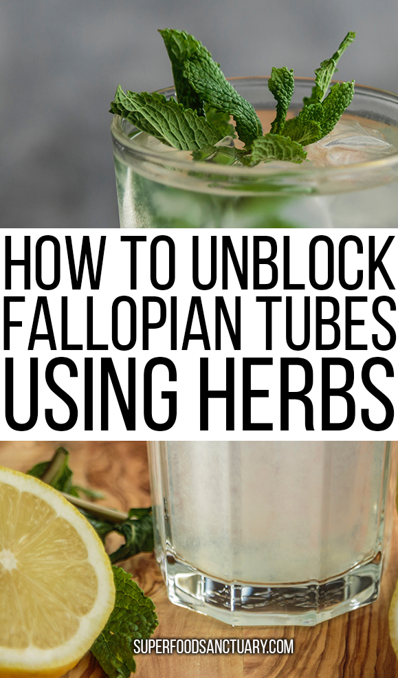 Blocked fallopian tubes account for about 40% of female infertility cases. Let’s learn how to unblock fallopian tubes naturally with herbs in this article.