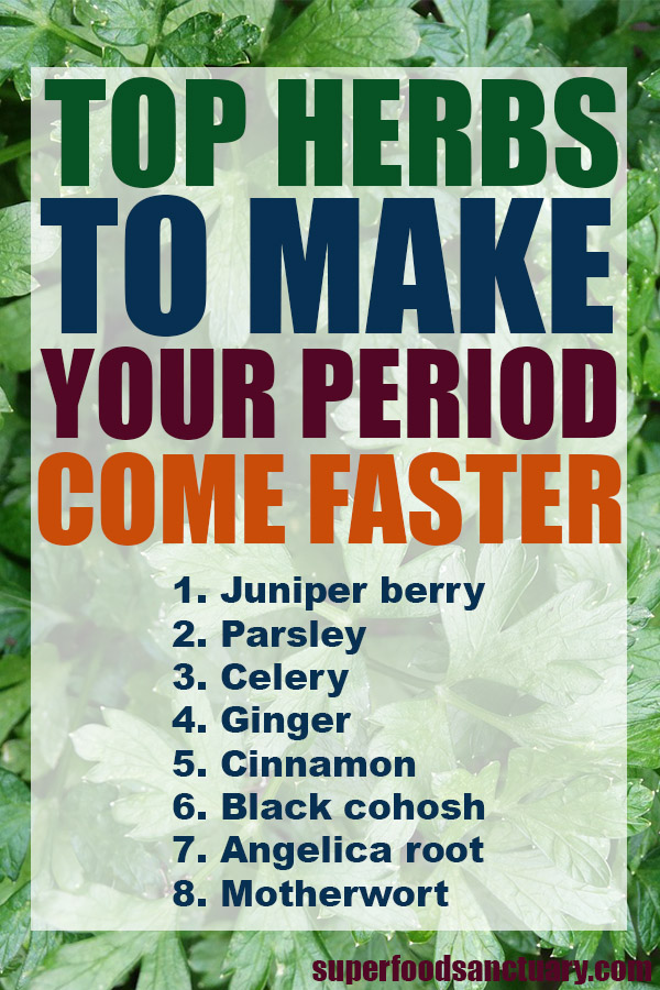 Here are the top 8 herbs that you must try to bring on menstruation: