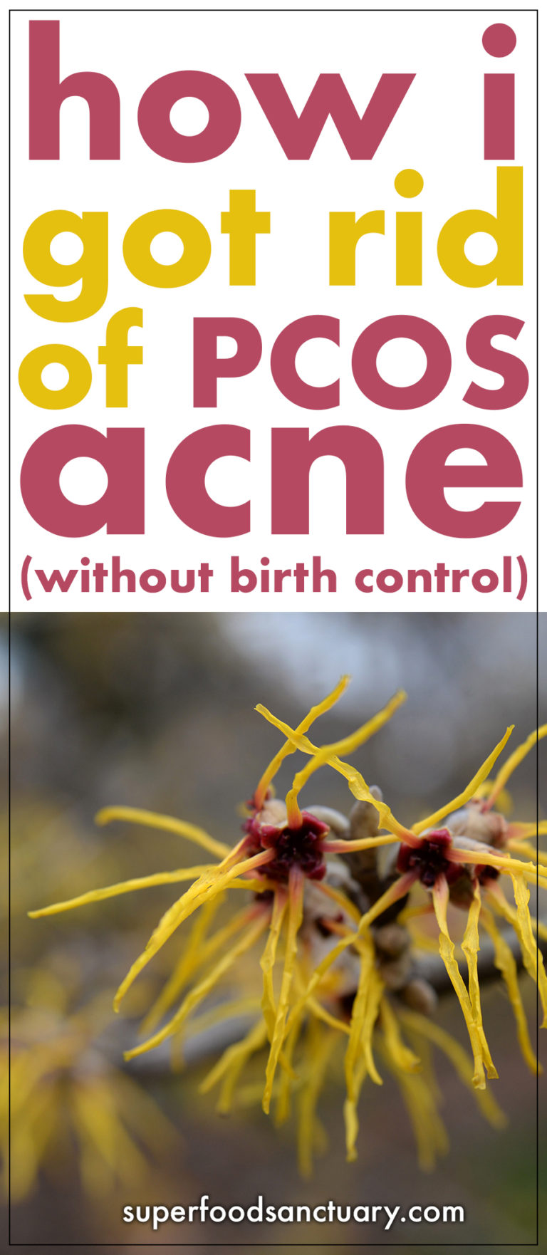 Are there any effective natural remedies for PCOS acne? Yes, there actually are! Here are my top 10 most effective ones to show you how to treat PCOS acne without birth control.