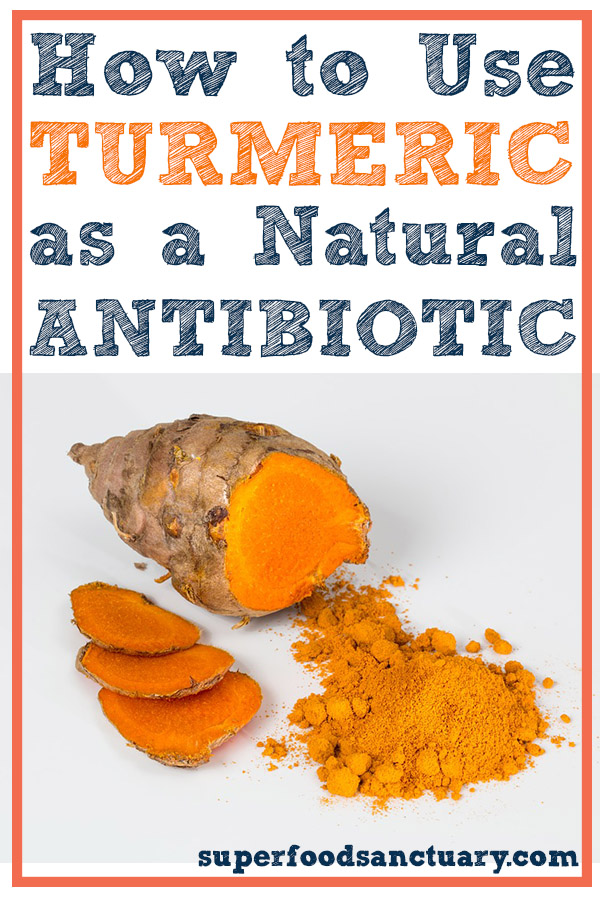 There are many ways to use turmeric as an antibiotic. You could simply make a tea out of it by mixing ½ teaspoon of turmeric in hot water.