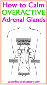 overactive adrenal gland sweating