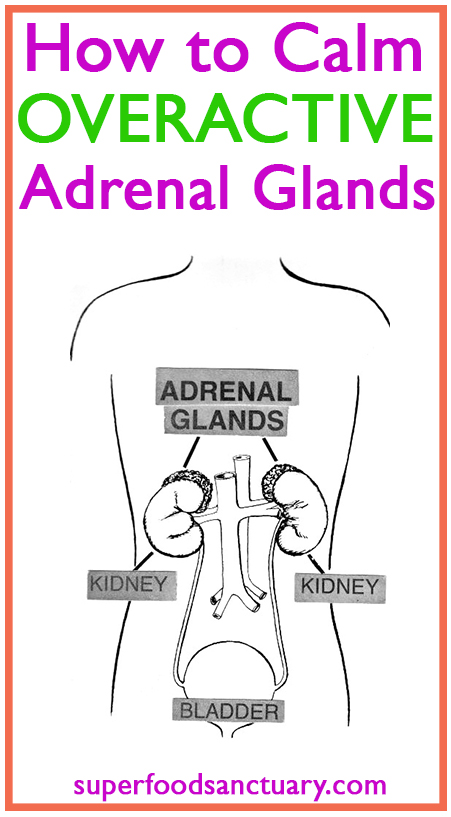 Do you what to learn how to calm overactive adrenal glands? Then you’re on the right page – this article looks at ways to beat adrenal fatigue and normalize your system. 