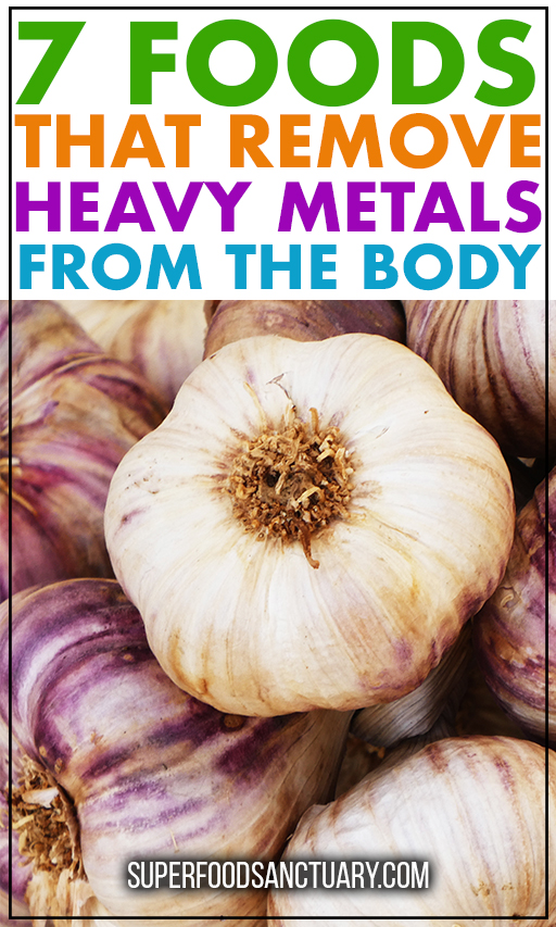 Are you interested in ridding your body of harmful heavy metals? Continue reading to check out 7 foods that help remove heavy metals from the body naturally! 