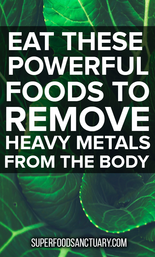 Are you interested in ridding your body of harmful heavy metals? Continue reading to check out 7 foods that help remove heavy metals from the body naturally! 