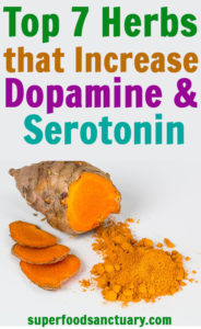 Top 7 Herbs To Increase Dopamine And Serotonin - Superfood Sanctuary