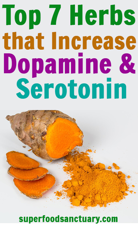 In this post, learn the top 7 herbs to increase dopamine and serotonin production naturally, without the use of drugs.
