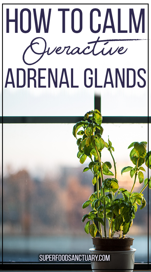 Do you what to learn how to calm overactive adrenal glands? Then you’re on the right page – this article looks at ways to beat adrenal fatigue and normalize your system. 