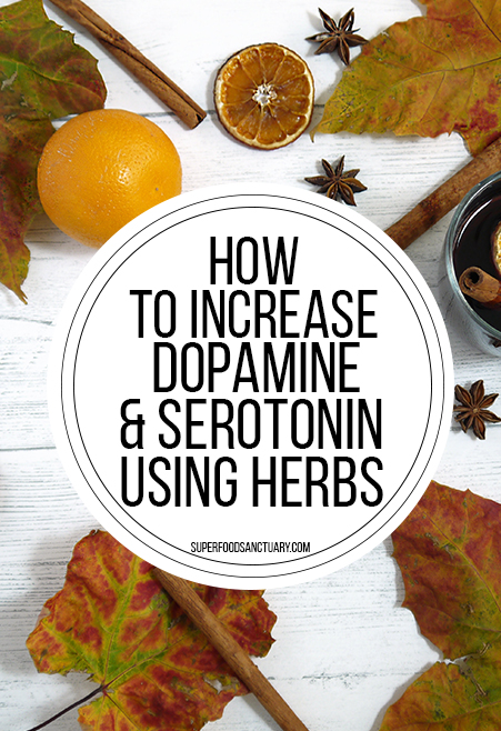 In this post, learn the top 7 herbs to increase dopamine and serotonin production naturally, without the use of drugs.﻿