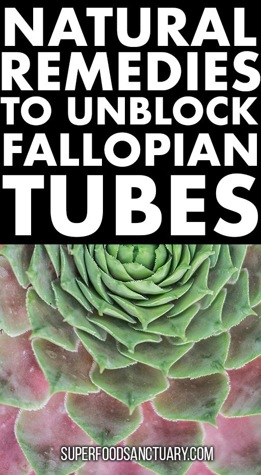 Did you know that one of the top causes of infertility in the world today is blocked fallopian tubes? In this article, we shall see how to unblock fallopian tubes naturally in 5 effective ways.