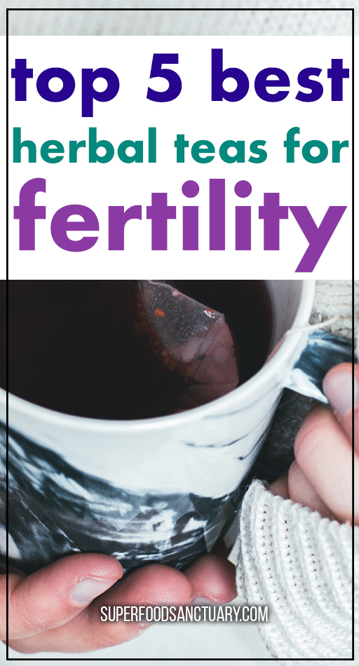  TTC? Have you ever thought about drinking herbal teas to increase fertility? Many women have success stories increasing fertility and getting pregnant fast using herbal teas. We shall be discussing the top teas to drink to increase chances of a healthy pregnancy!