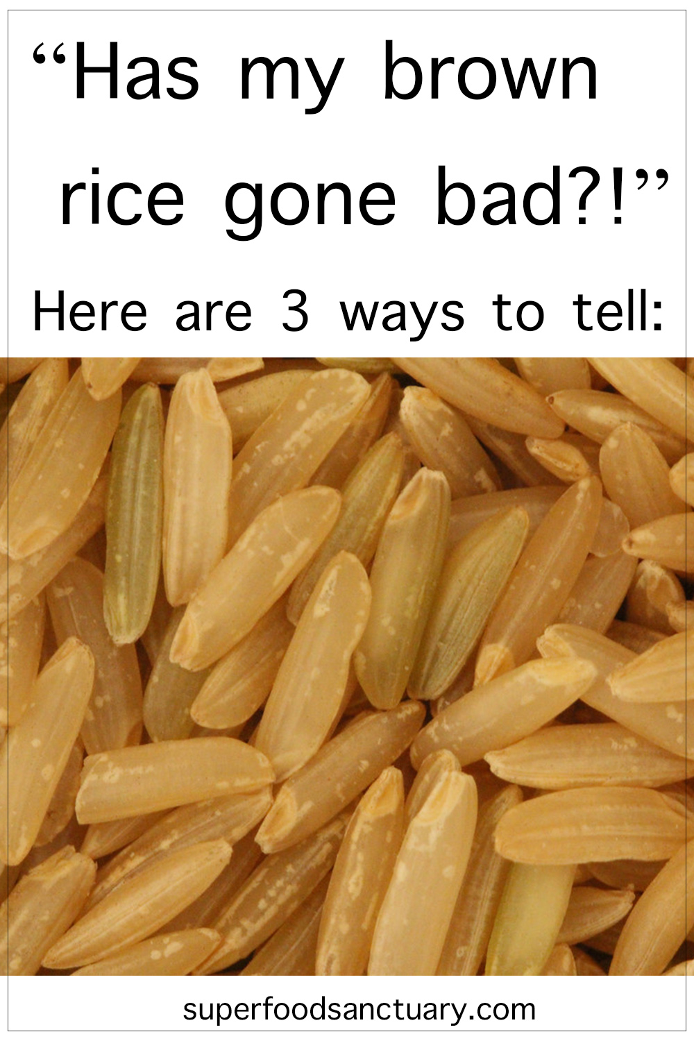 does-rice-go-bad-how-to-store-rice-kitchenguides