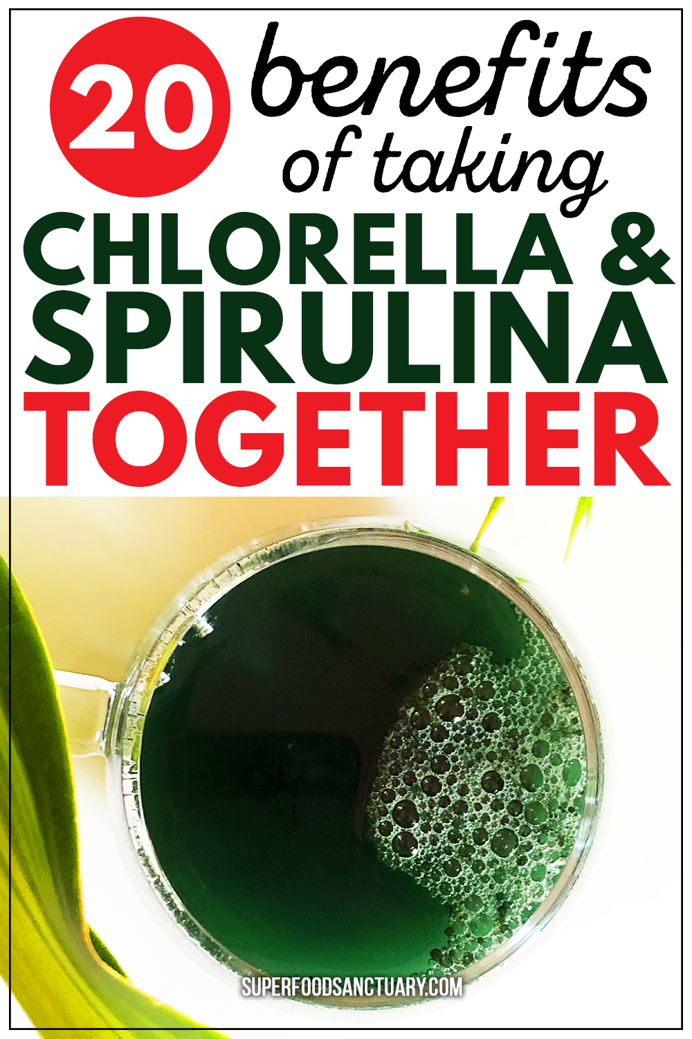 20 Powerful Benefits of Taking Chlorella and Spirulina Together