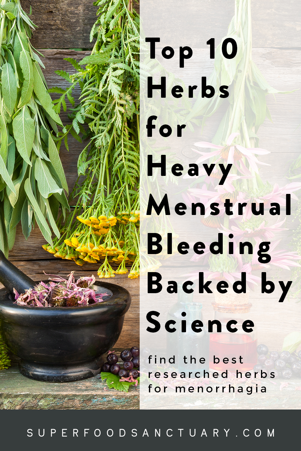 10 Best Researched Herbs for Heavy Menstrual Bleeding Superfood Sanctuary