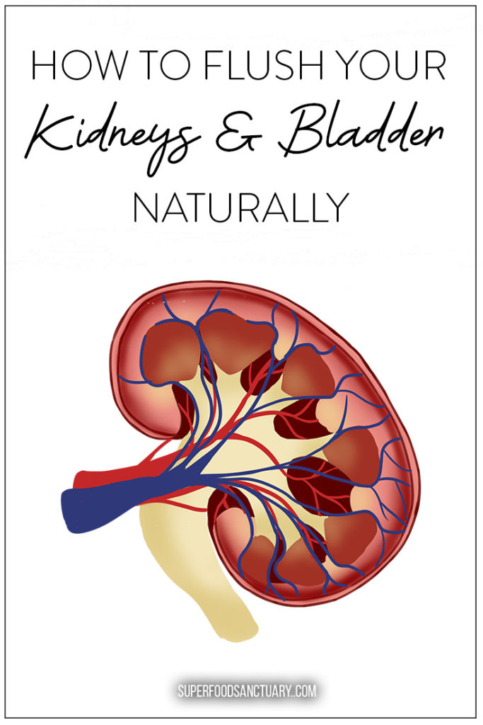 The kidneys are our body’s built-in cleanser. But what happens when you frequently get UTIs and kidney infections? Learn how to flush your kidneys and bladder naturally at home using safe natural healing remedies. 